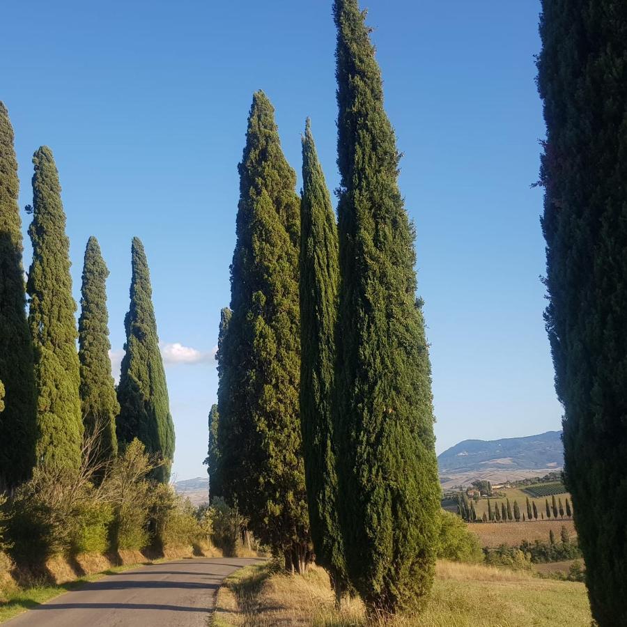 Apartmán Dimora In San Quirico dʼOrcia Exteriér fotografie