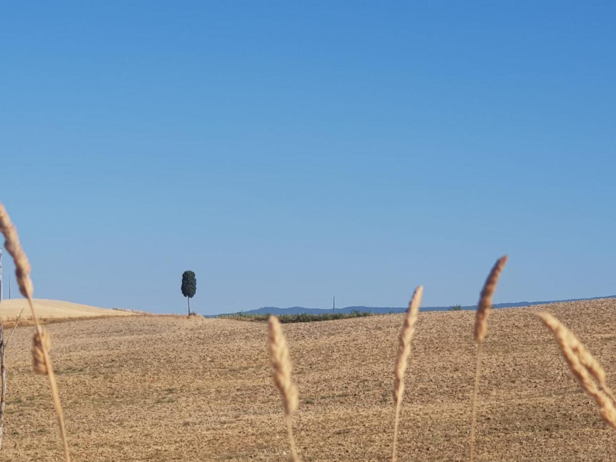 Apartmán Dimora In San Quirico dʼOrcia Exteriér fotografie