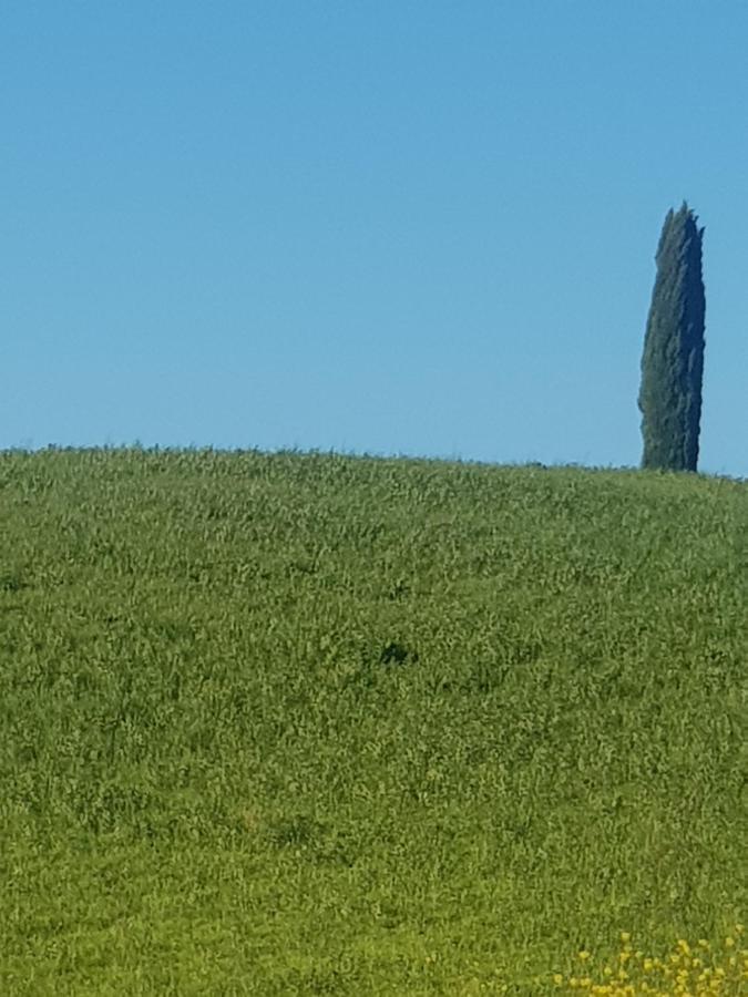 Apartmán Dimora In San Quirico dʼOrcia Exteriér fotografie